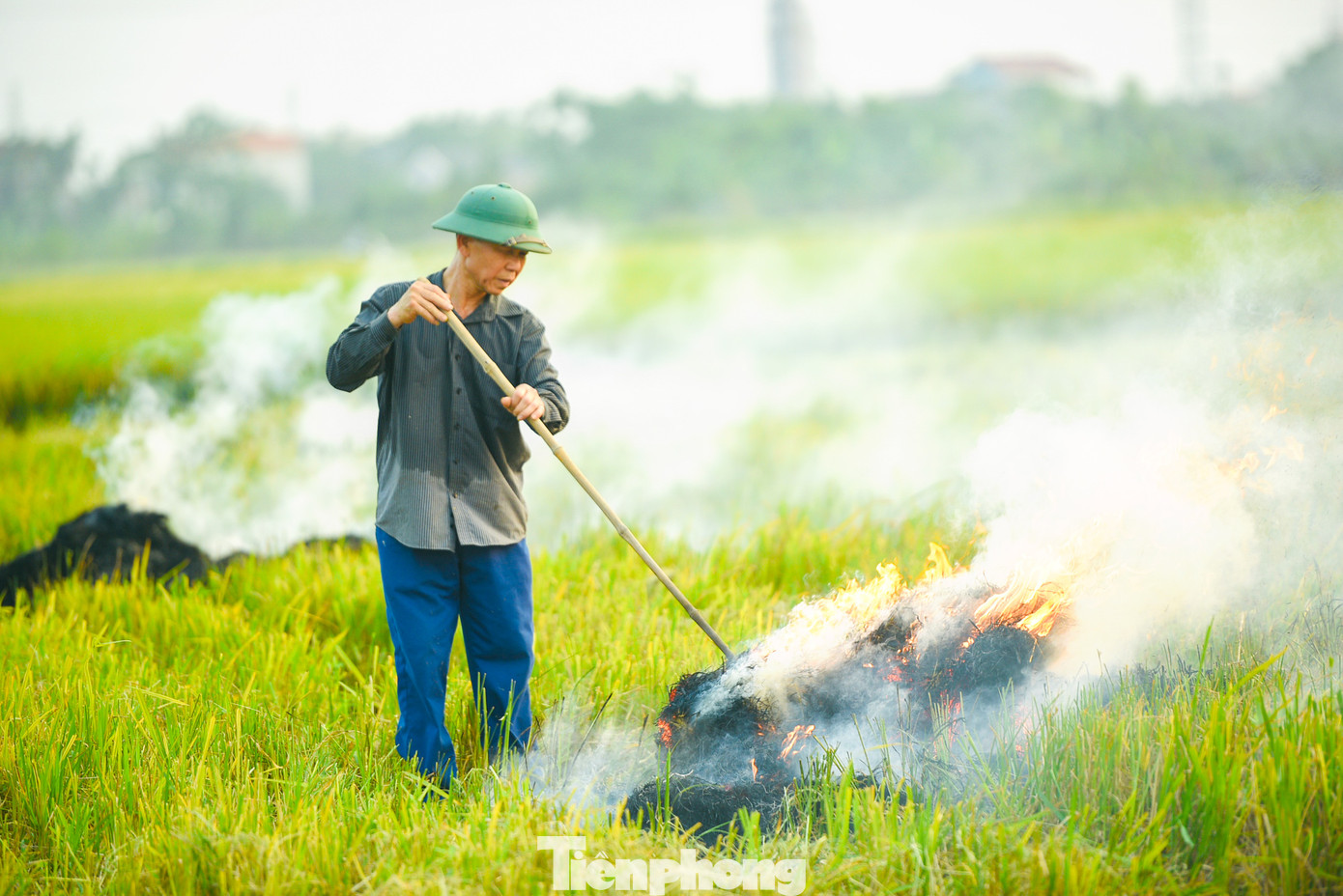 Rơm rạ không thu hoạch chuyển đi nơi khác, họ sẽ tranh thủ đốt ngay trên cánh đồng.