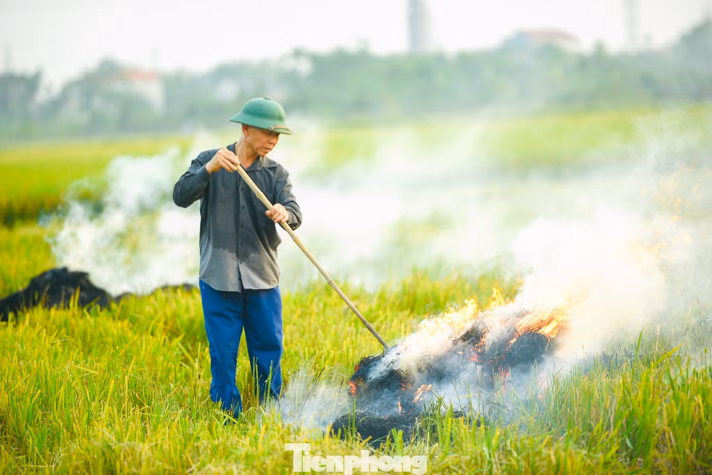 Rơm rạ không thu hoạch chuyển đi nơi khác, họ sẽ tranh thủ đốt ngay trên cánh đồng.