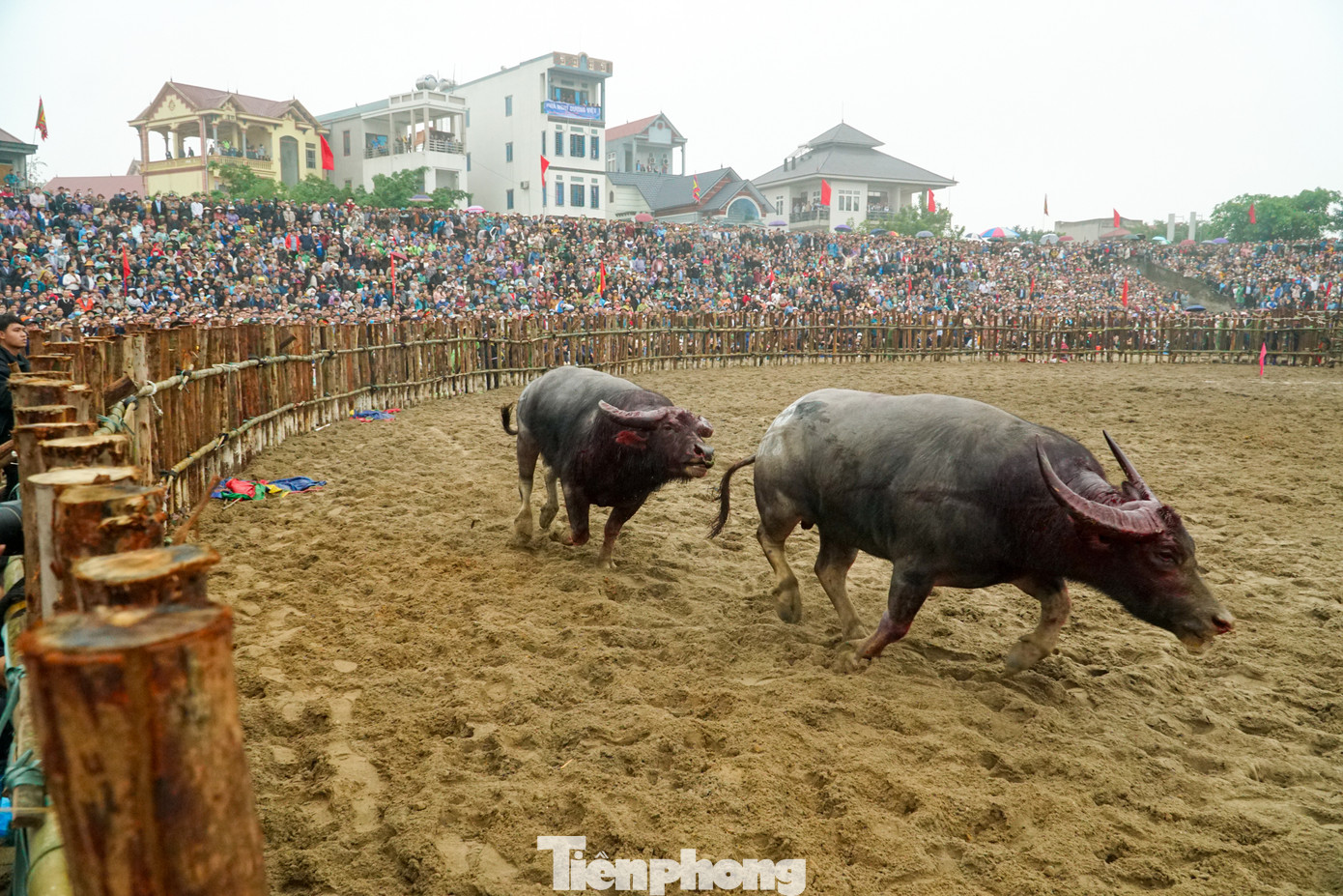 Tính đến năm 2023, lễ hội đã được khôi phục 21 năm, ngày càng được quảng bá rộng rãi và nhiều người biết đến. Tính đến năm 2023, lễ hội đã được khôi phục 21 năm, ngày càng được quảng bá rộng rãi và nhiều người biết đến.