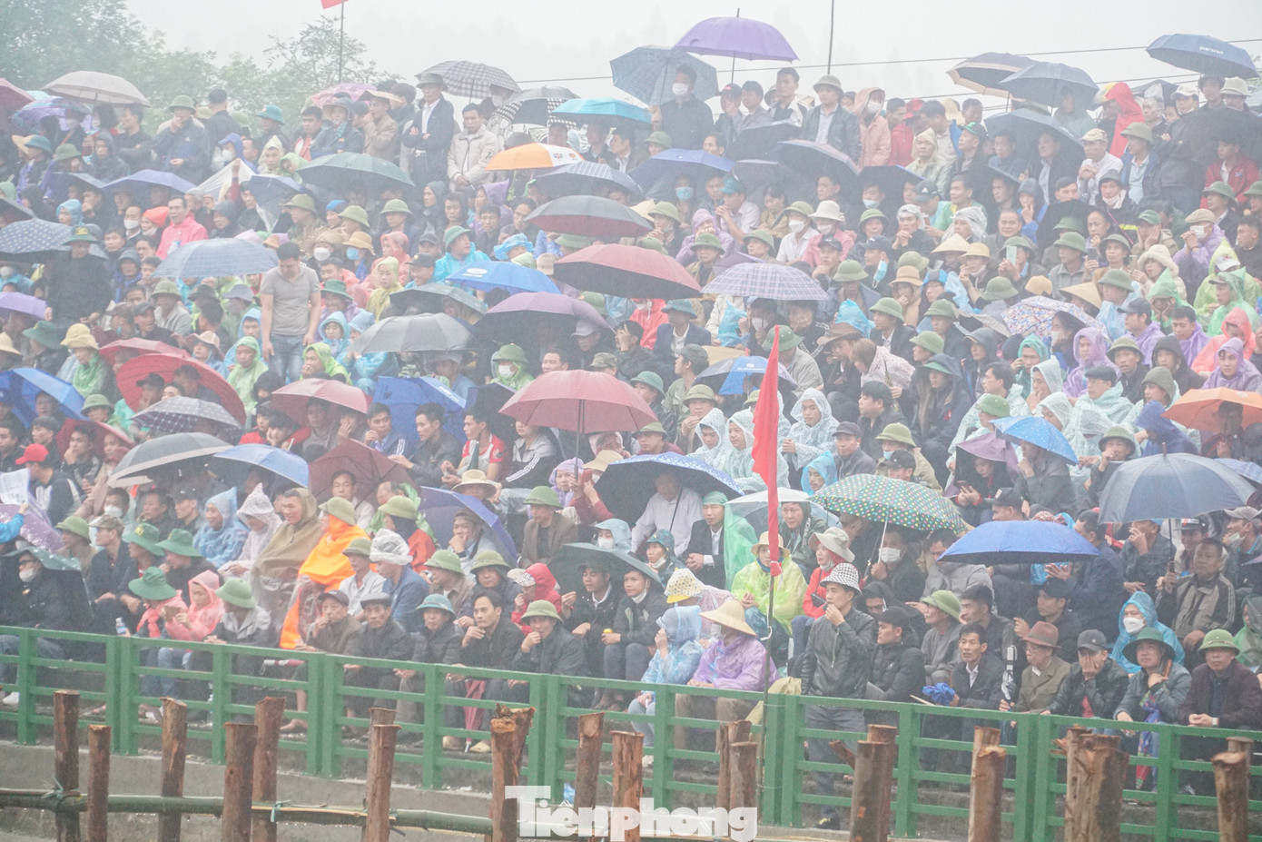 Ngay từ sáng sớm dòng người đã đội mưa đổ về dự hội rất đông. Những tiếng hò reo không ngớt khiến cho các "đấu sỹ" trâu thêm "máu lửa" hơn. Ngay từ sáng sớm dòng người đã đội mưa đổ về dự hội rất đông. Những tiếng hò reo không ngớt khiến cho các "đấu sỹ" trâu thêm "máu lửa" hơn.