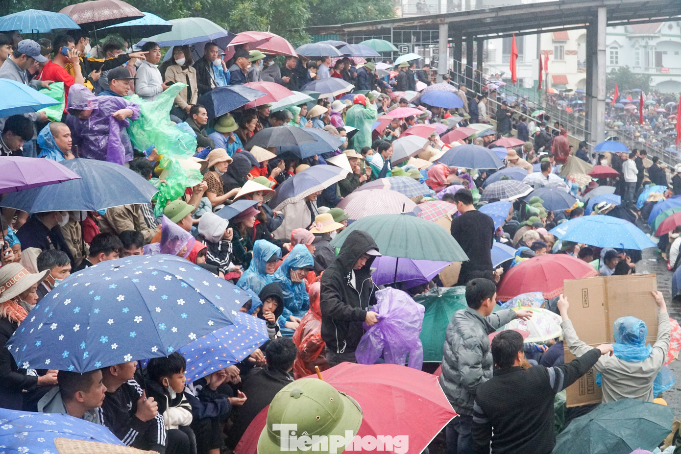 Hàng rào và cổng ra vào sới chọi được bố trí kiên cố, vững chắc, đảm bảo an toàn tuyệt đối cho người tham gia lễ hội. Hàng rào và cổng ra vào sới chọi được bố trí kiên cố, vững chắc, đảm bảo an toàn tuyệt đối cho người tham gia lễ hội.