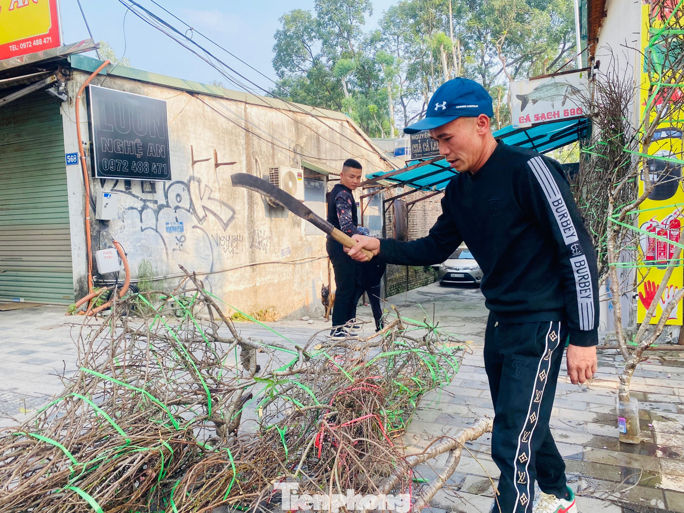 Bên cạnh những người chấp nhận bán đại hạ giá để lấy lại chút vốn liếng, nhiều tiểu thương chấp nhận chặt, đập bỏ cây cảnh, nhất quyết không chịu bị ép giá.