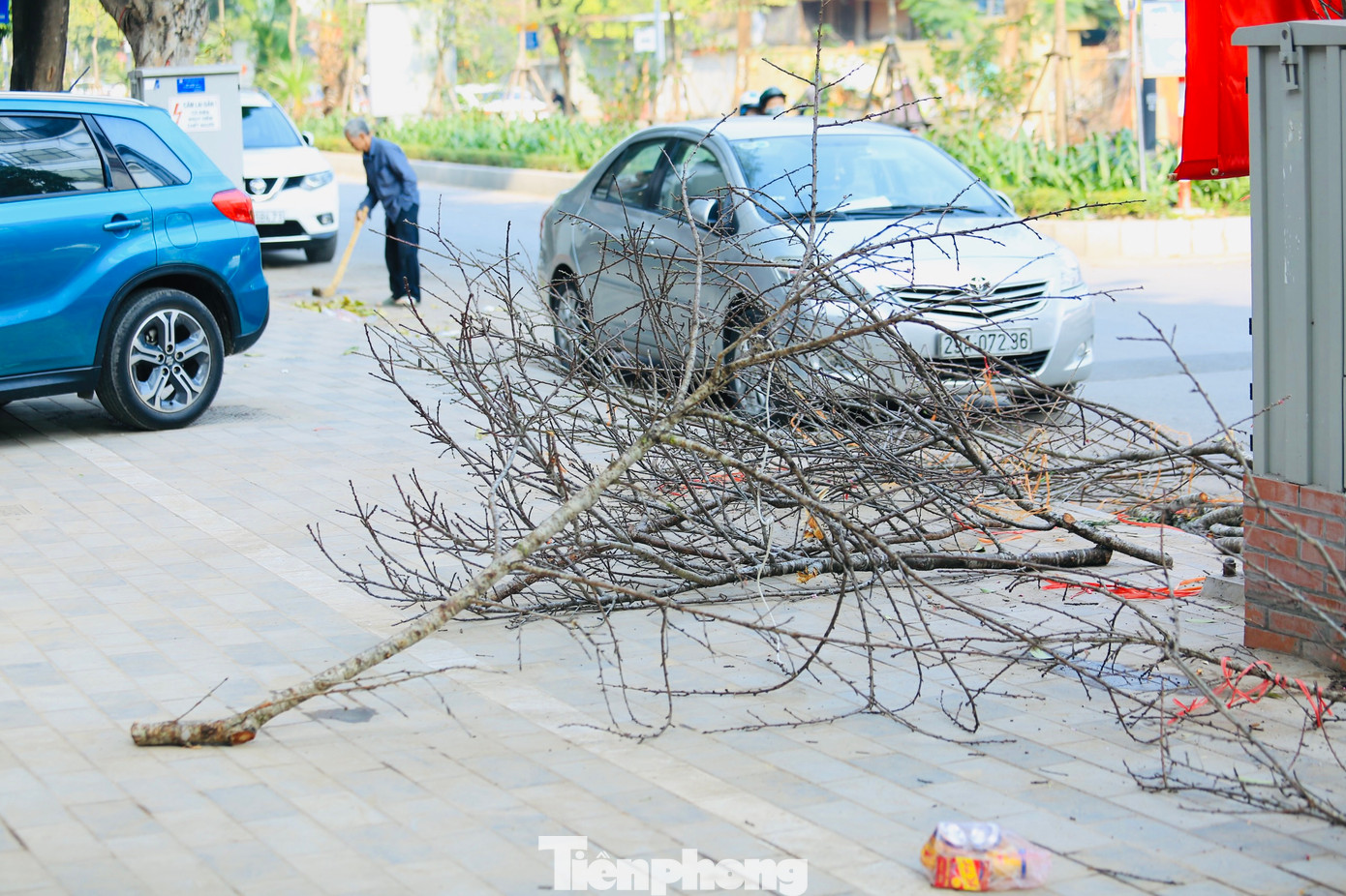 Trên đường Lạc Long Quân, Nghi Tàm có rất nhiều hàng bán đào và các loại cây cảnh nhưng số người đến xem giờ này chỉ đếm trên đầu ngón tay. Trước tình trạng khách mua đìu hiu, buôn bán ế ẩm vào chiều 30 Tết, nhiều tiểu thương quyết định vứt bỏ đào ở lại để về nhà đón Tết cùng gia đình.