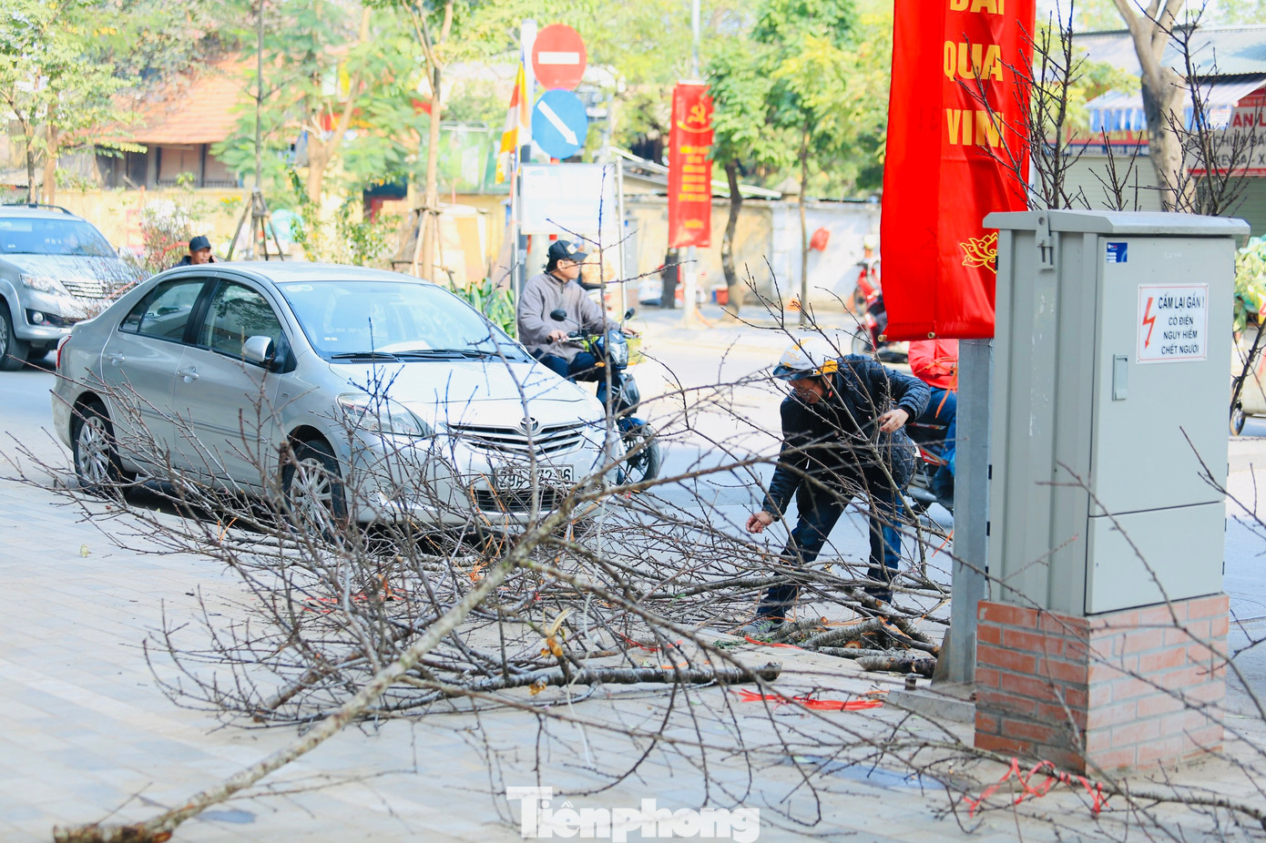 Một số người dân đi đường xót xa dừng lại lựa chọn những cành còn đẹp để đem về chơi Tết.