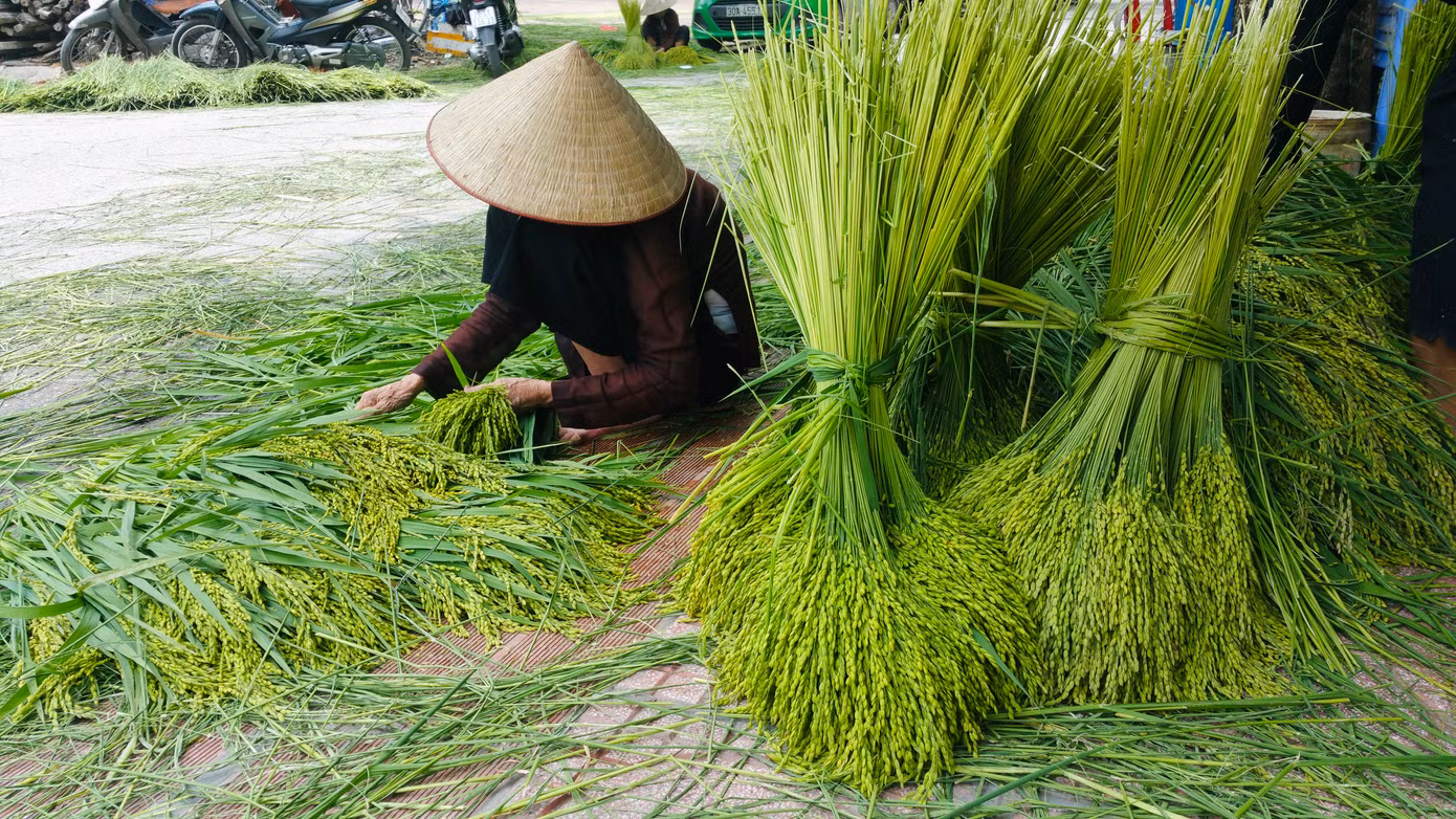 Nghề làm cốm ở Mễ Trì đến nay có bề dày lịch sử hơn một thế kỷ. Ở đây có 2 thôn (thôn Thượng và thôn Hạ) đều có nhiều hộ gia đình theo nghề làm cốm.