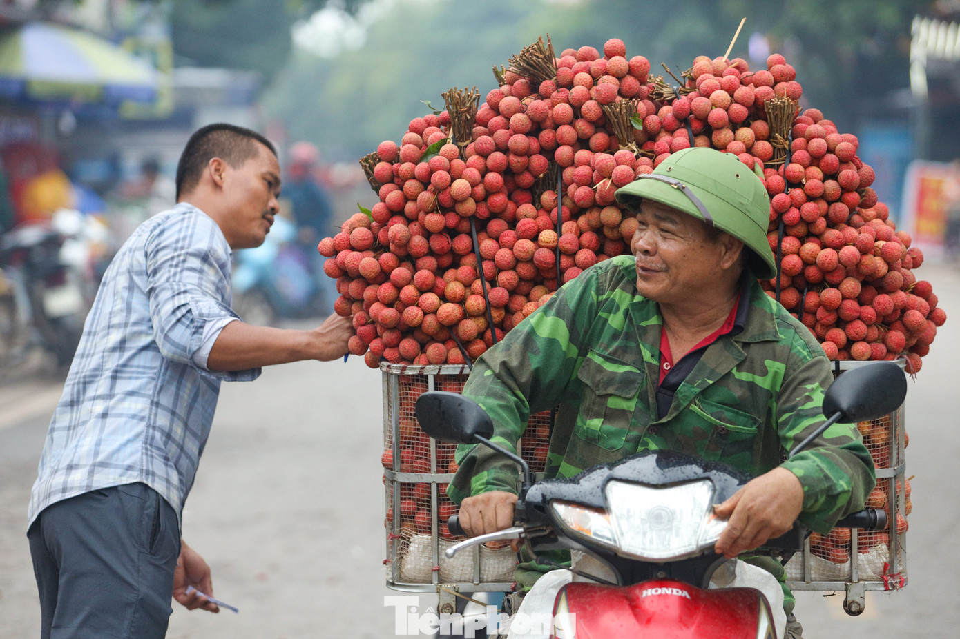 Các xe chở vải chất cao quá đầu người được bó gọn gàng với màu đỏ rực rỡ bắt mắt mang theo niềm vui, kỳ vọng của bà con nông dân về một năm được mùa, được giá.