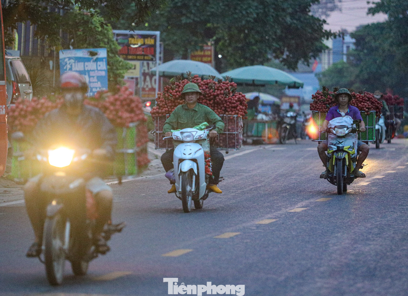 Công việc dù vất vả từ đêm tối đến sáng sớm nhưng các hộ dân ai cũng vui vẻ vì năm nay vải được mùa.
