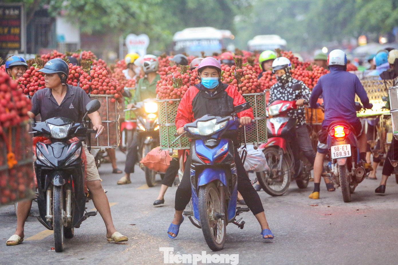 Năm nay thủ phủ vải của Bắc Giang trúng mùa lớn, quả đẹp, thơm ngọt, giá bán trung bình từ 20.000 đến 25.000 đồng/kg.