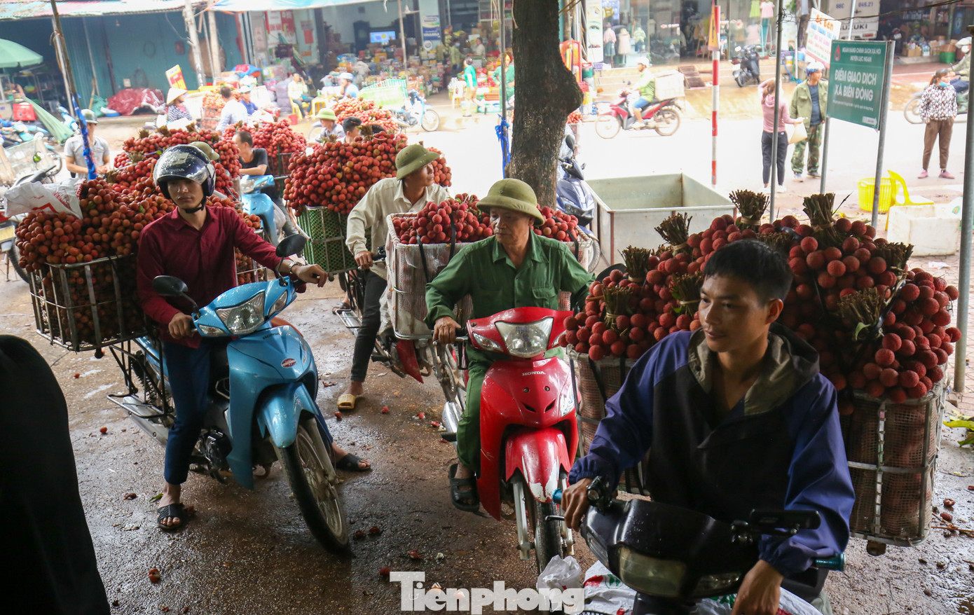 7h sáng các điểm thu mua vải vẫn tấp nập xe chờ vào cân hàng.
