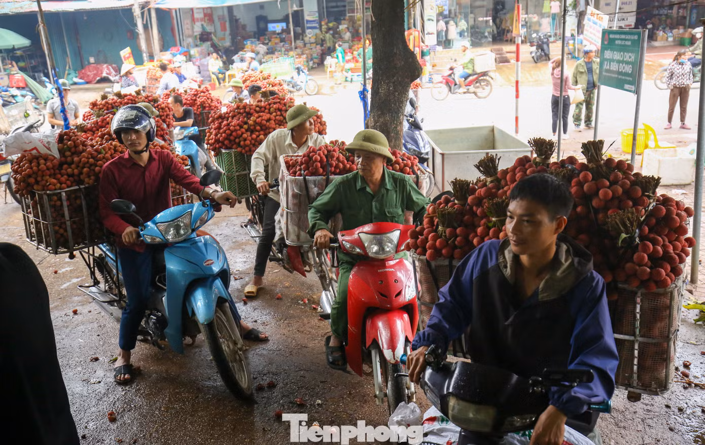 7h sáng các điểm thu mua vải vẫn tấp nập xe chờ vào cân hàng.