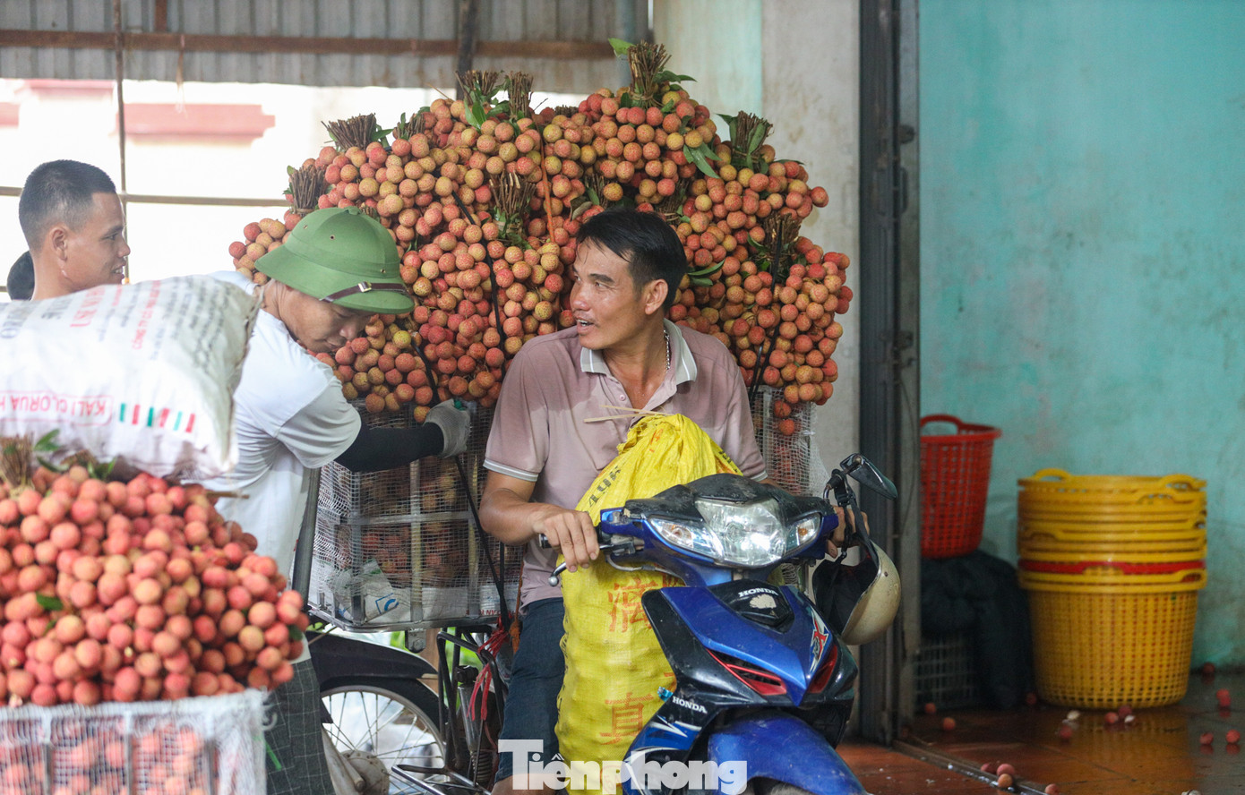 Vải sau khi được thu mua sẽ được phân loại để xuất khẩu hoặc theo các chuyến xe đi buôn bán tại các địa phương trong cả nước.