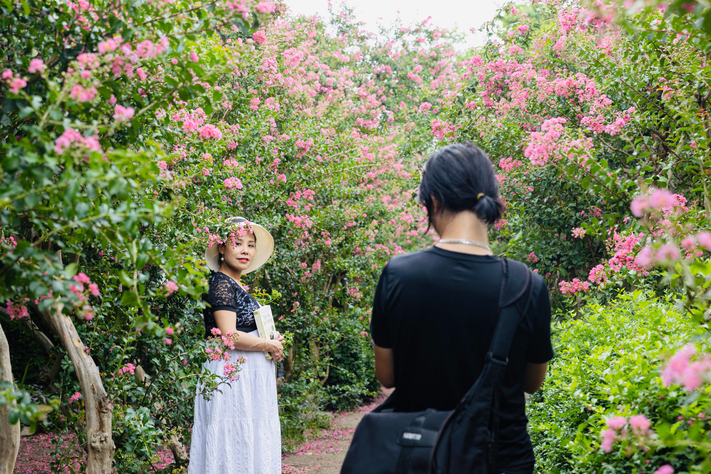 Hoa tường vi có vẻ đẹp nhẹ nhàng, thanh tao. Đến đây, không cần bạn là mẫu chuyên nghiệp cũng có những tấm hình rất đẹp.