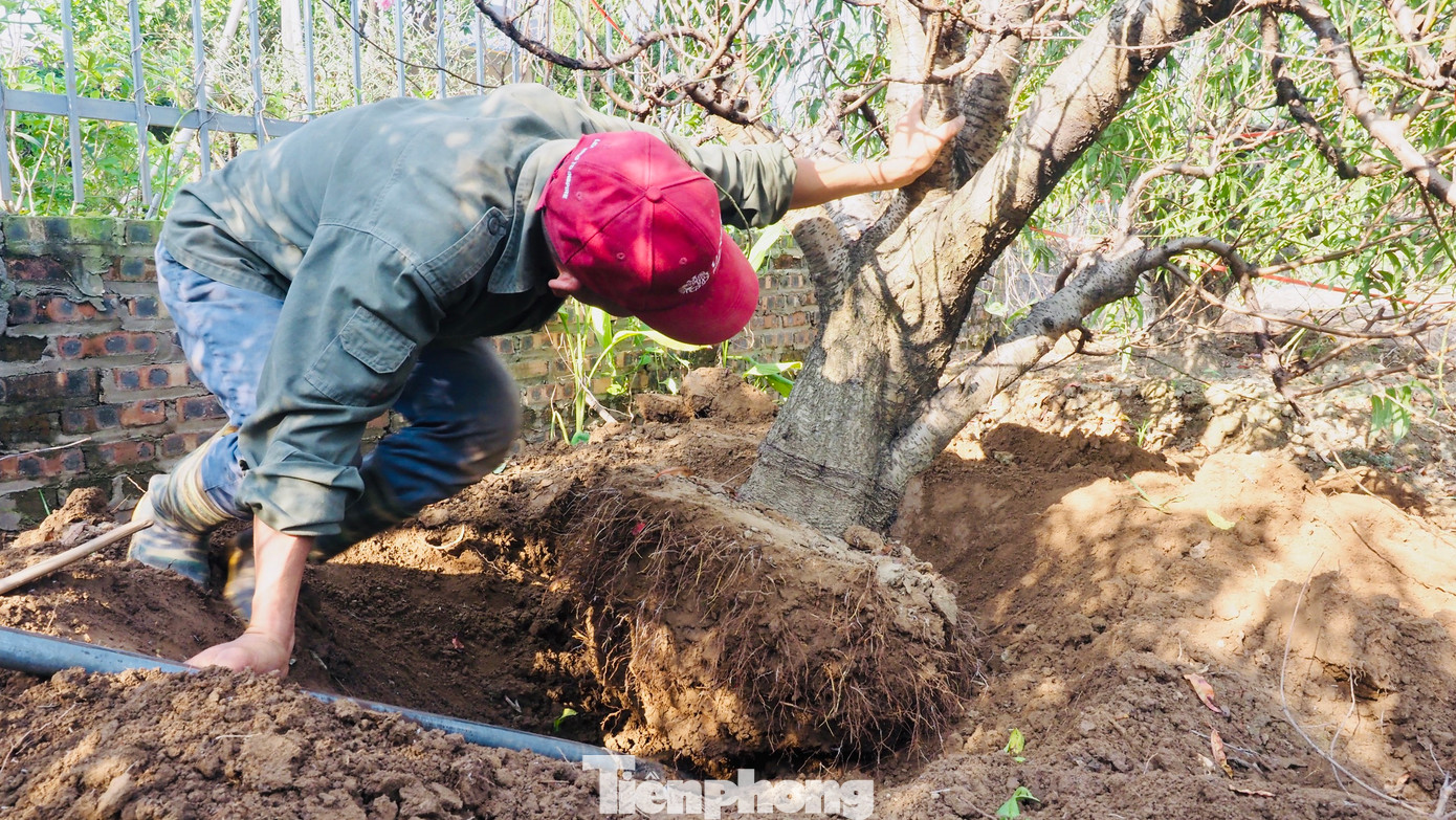 Công việc đánh gốc, di chuyển cây của mọi người thường sẽ bắt đầu từ 6h sáng đến 17h. Công việc đánh gốc, di chuyển cây của mọi người thường sẽ bắt đầu từ 6h sáng đến 17h.