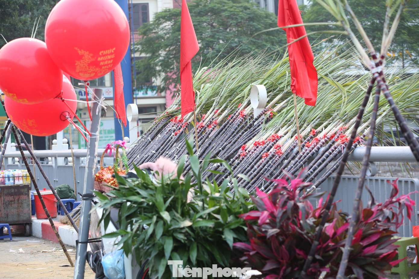 Chiều 30 Tết, nhiều tiểu thương ở Hà Nội đã nhanh chóng mang túi muối, mía và các cành lộc ra ven đường để bán cho mọi người mua với mong muốn gặp được nhiều may mắn cho năm mới.