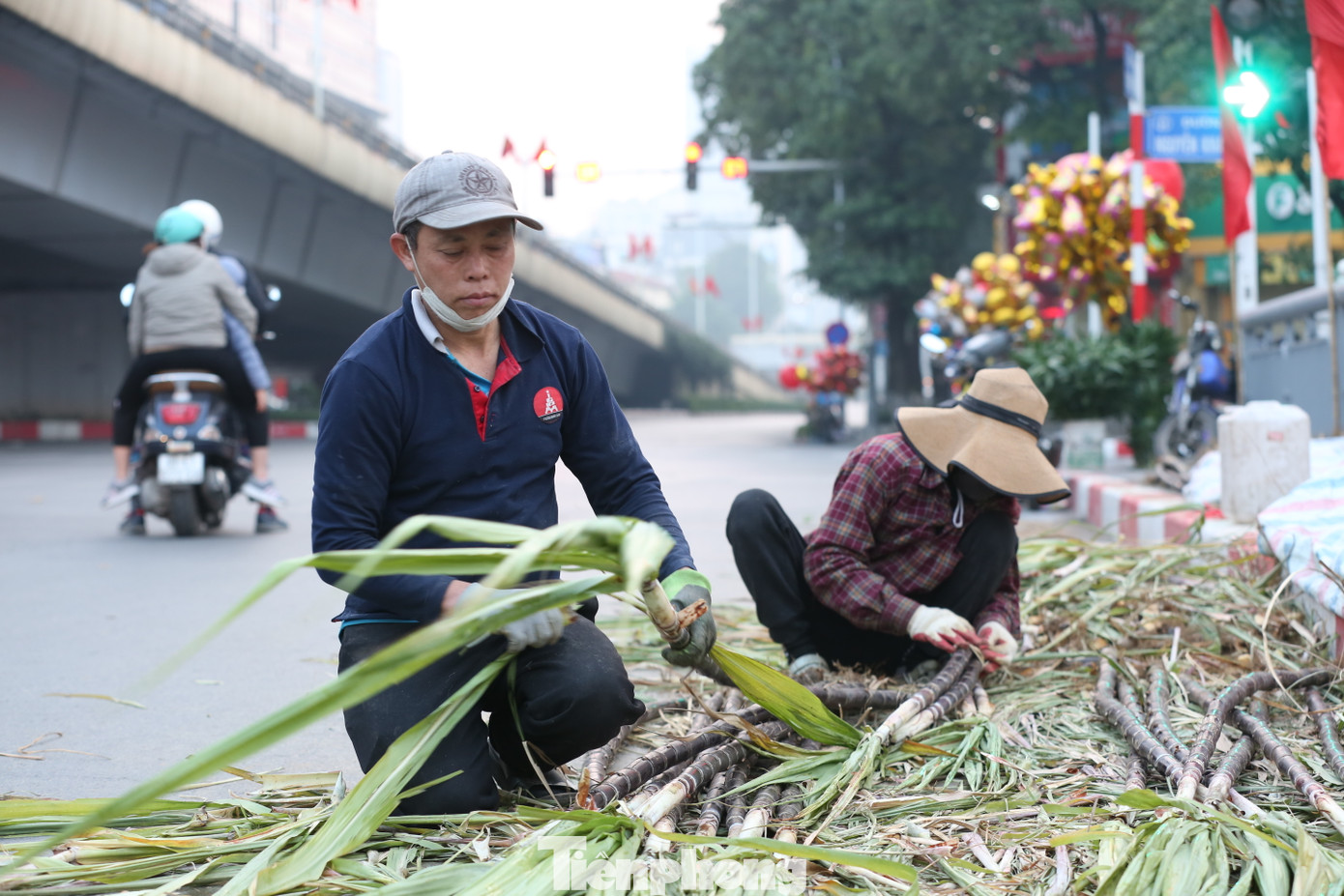 Khảo sát nhanh của PV báo Tiền Phong, giá thành năm nay không có nhiều biến động. Những cặp mía đôi được bày bán giá từ 80.000 đến 120.000.