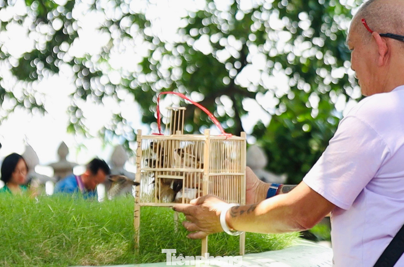 Tại chùa Trấn Quốc, nhiều người dân lựa chọn phóng sinh mong cầu ân đức hiếu tử, đức từ bi theo tôn chỉ nhà Phật. Theo quan niệm dân gian, phóng sinh chính là làm việc thiện và người phóng sinh sẽ được tích đức, nhận lại nhiều may mắn.