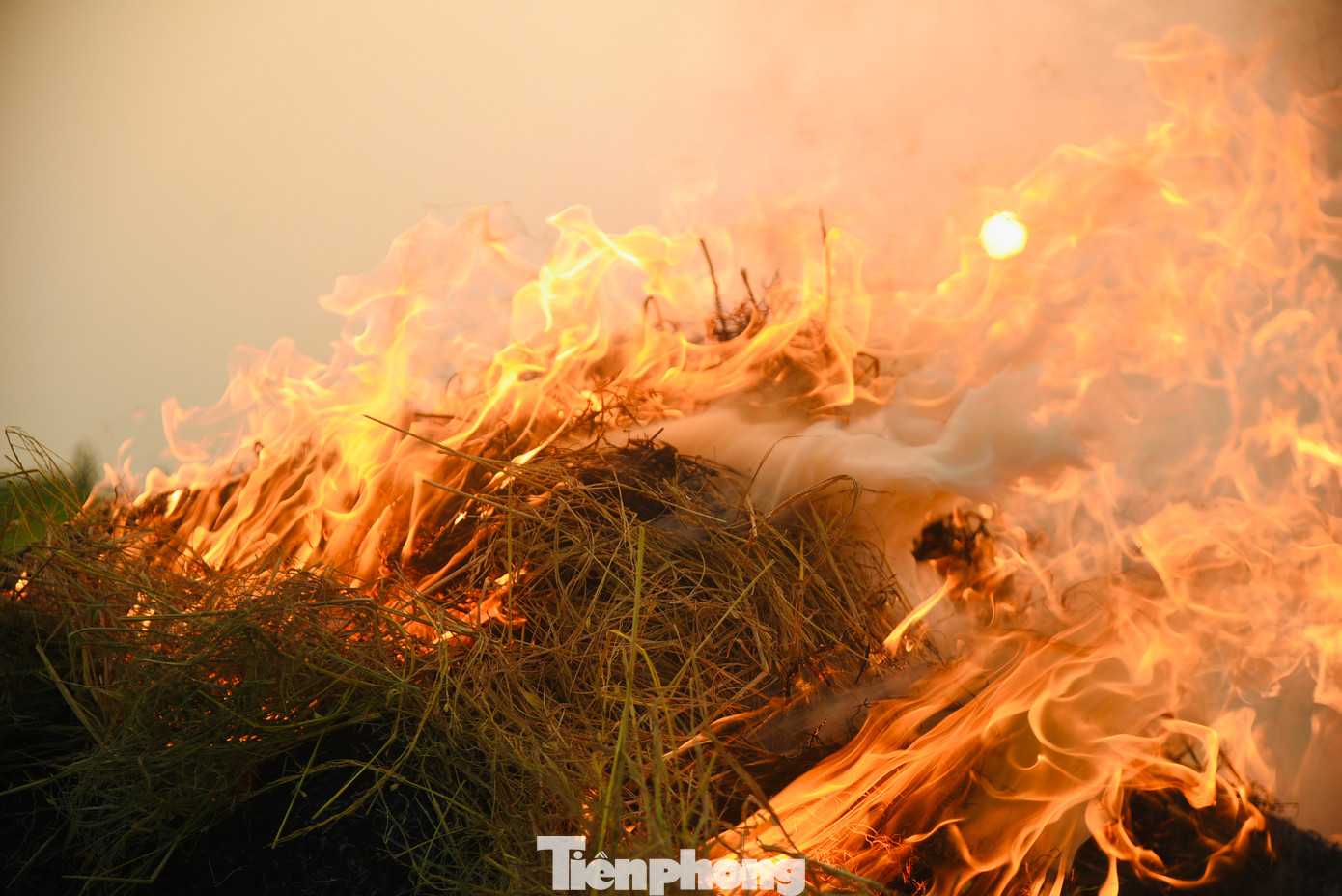 Nhiệt lượng toả ra từ những đống rơm rạ đang cháy ngùn ngụt cộng hưởng cùng thời tiết nắng nóng gay gắt khiến ai cũng cảm thấy ngộp thở khi phải làm việc trong điều kiện khắc nghiệt này.