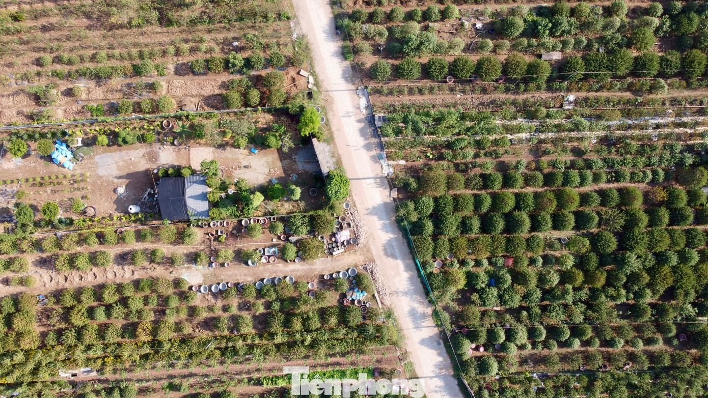 Nếu chăm chỉ, những lao động tại đây có thể kiếm được tiền triệu mỗi ngày. Nếu chăm chỉ, những lao động tại đây có thể kiếm được tiền triệu mỗi ngày.