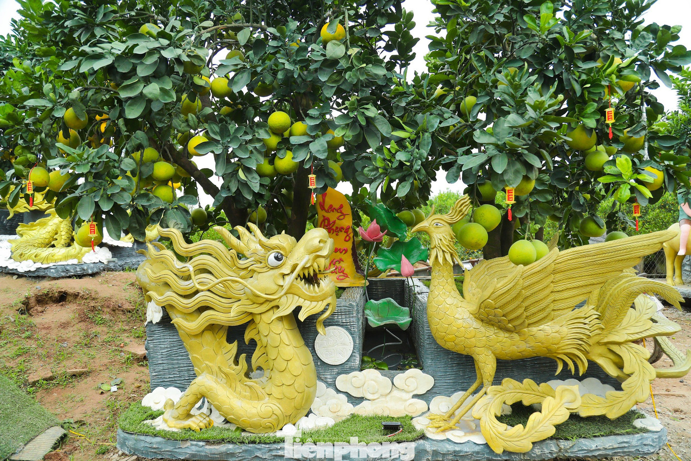 Để tạo ra những tác phẩm đặc sắc này, những người thợ phải làm rất tỉ mỉ, tốn nhiều tâm huyết và công sức, chưa kể không ưng ý sẵn sàng phải đập đi làm lại. Do đó giá thành của những tác phẩm này không hề rẻ và kén người chơi, nhiều chậu lên tới hàng chục, thậm chí cả trăm triệu đồng.