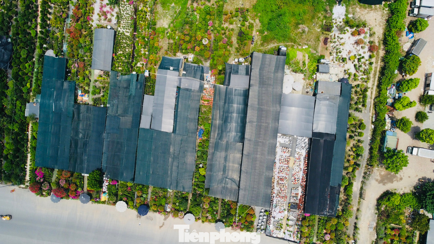 Cỏ mọc um tùm bên trong công viên rộng gần 55ha.