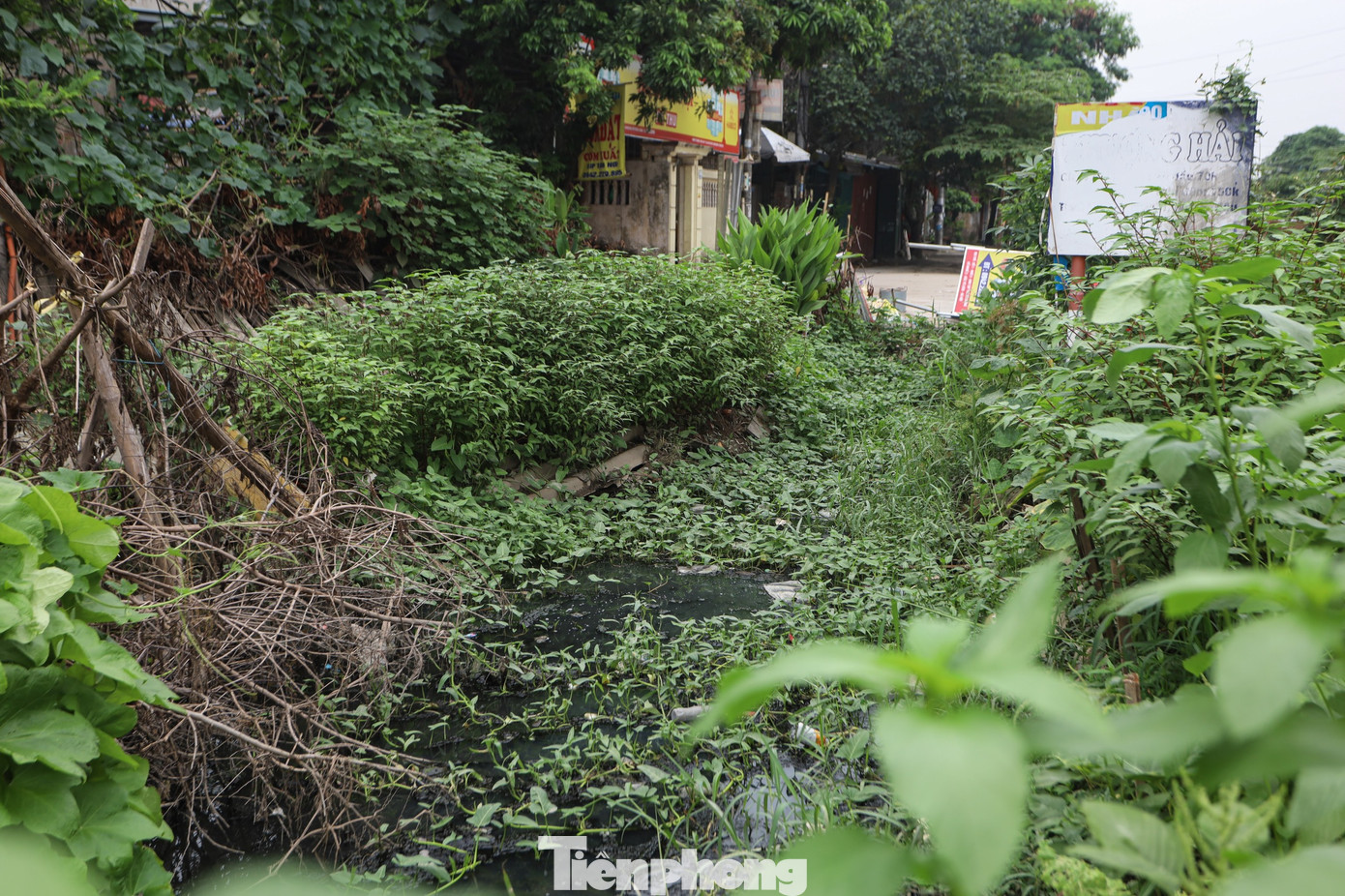 Hệ thống thoát nước chưa hoàn thiện, mương nước bị tắc nghẽn do rác thải khiến nước ứ đọng, ô nhiễm.