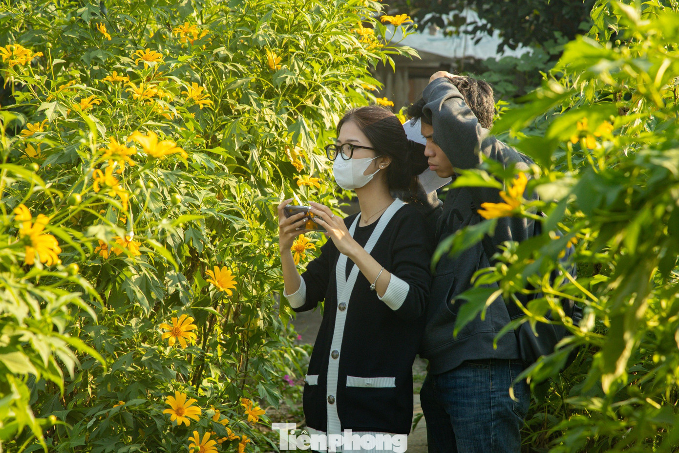 Hoa nở dày đặc bên những cây cầu gỗ chênh vênh tạo nên không gian thơ mộng, "đứng góc nào cũng ra ảnh đẹp", bạn Ái Duyên chia sẻ