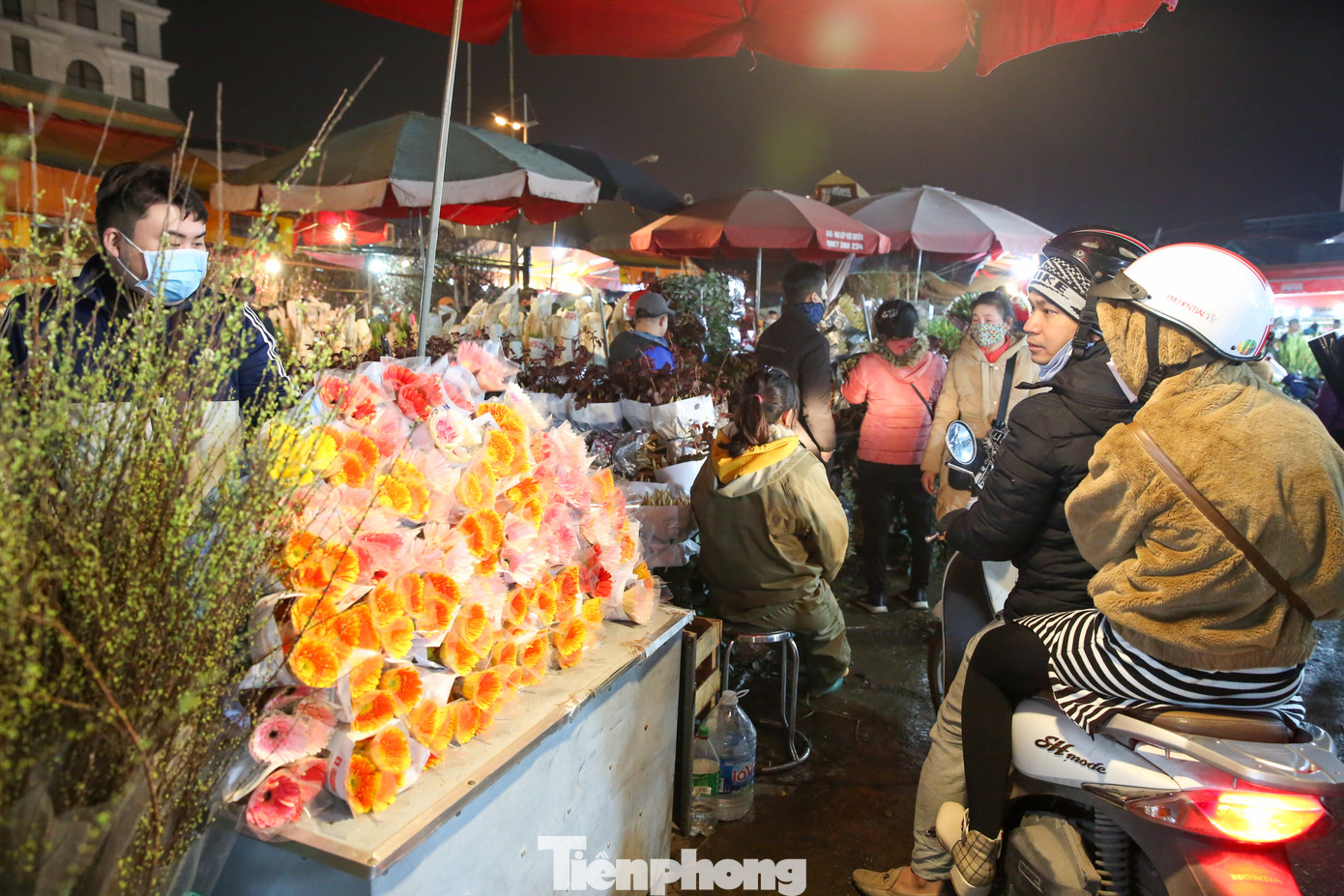 Gian hàng hoa đồng tiền cũng được nhiều khách dừng chân ghé mua với mong muốn tài lộc sung túc, đủ đầy cho năm mới.