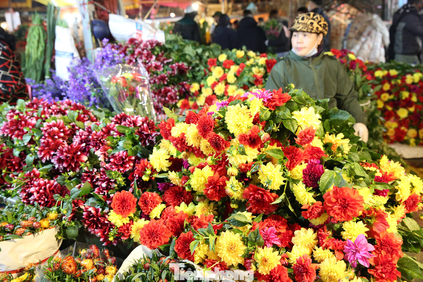 Hoa thược dược, lay ơn đã trở thành nét đặc trưng gắn bó với người dân Hà Nội, là loài hoa không thể thiếu với nhiều gia đình trong ngày Tết Nguyên đán.