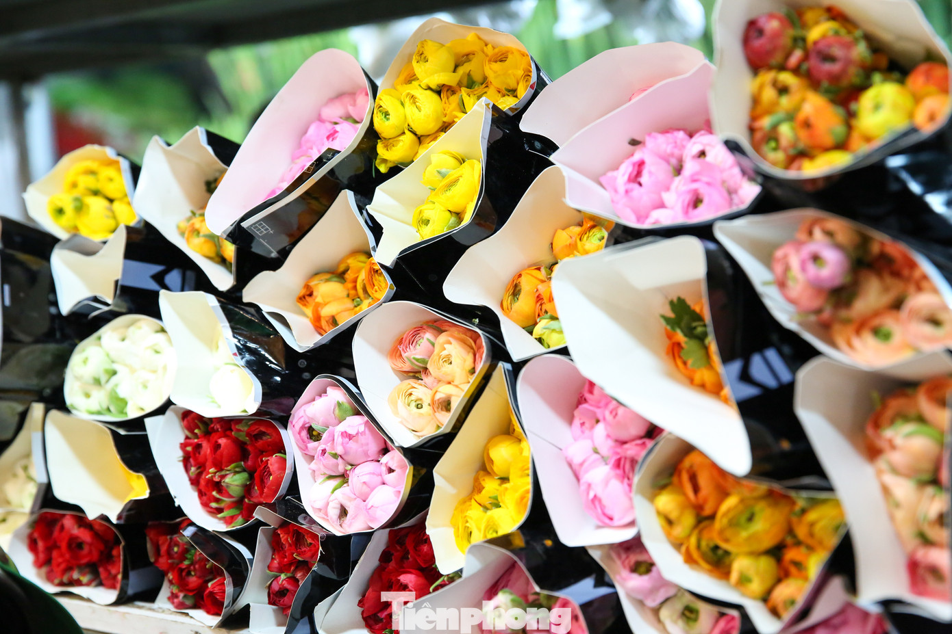 Muôn loài hoa thi nhau đua sắc trong các gian hàng tại chợ.