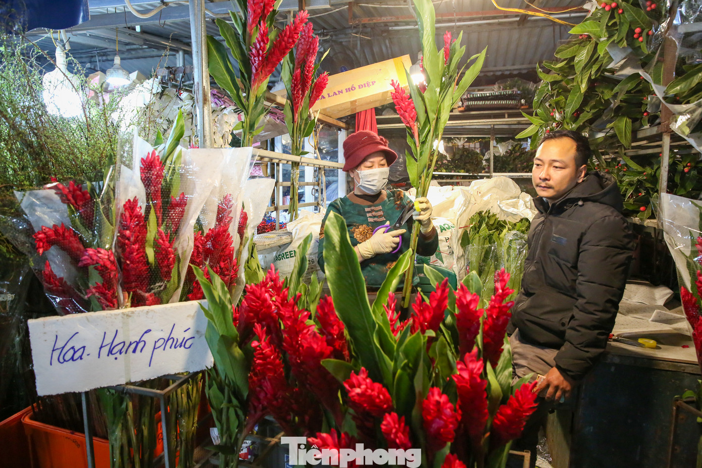 Loài hoa có cái tên rất ấn tượng: "Hoa hạnh phúc" được dự đoán sẽ hút người mua trong dịp Tết Quý Mão 2023.