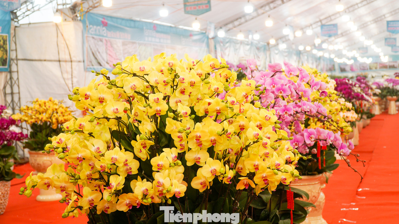 Ngoài những sản phẩm được bày bán sẵn, người tiêu dùng cũng có thể đặt chậu lan cắm theo yêu cầu của riêng mình.