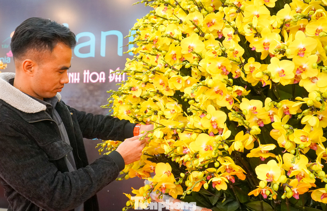 "Tác phẩm được kỳ công ghép từ 3668 cành hoa lan hồ điệp xuất xứ từ Đà Lạt, là tâm huyết, công sức của 10 người thợ làm việc liên tục trong 2 ngày 2 đêm để kịp tiến độ”. Anh Ngô Hoàng Nghiệp, chủ nhân của tác phẩm chia sẻ.