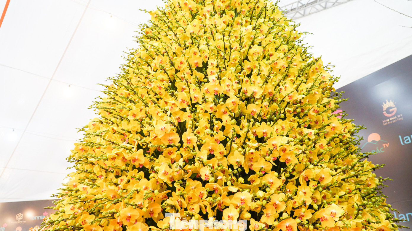 Siêu phẩm hoa lan “Phú Quý” này có chiều cao gần 7m, đường kính gần 3m, được ghép từ 3668 cành và trồng trong chậu khảm trai vẩy rồng độc đáo.