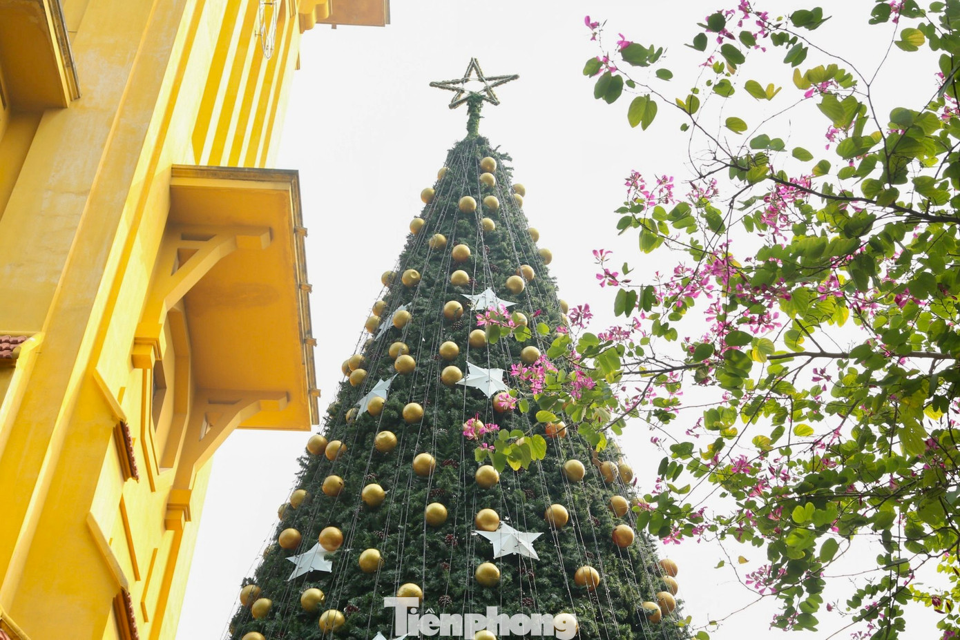 Trong khuôn viên nhà thờ trang trí tiểu cảnh chúa Jesus ra đời.