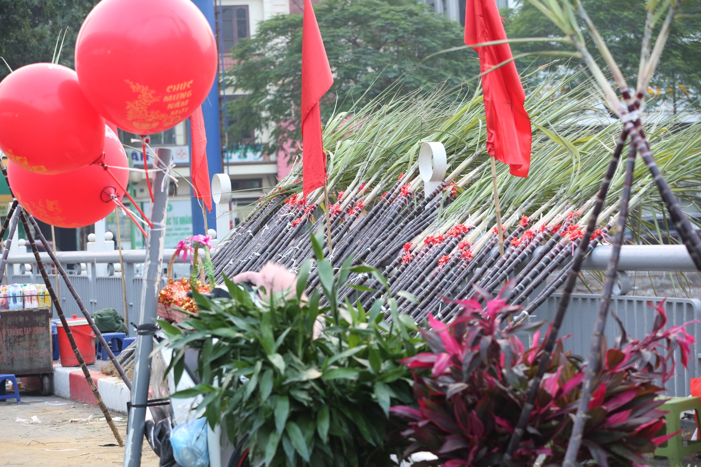 Chiều 30 Tết, nhiều tiểu thương ở Hà Nội đã nhanh chóng mang túi muối, mía và các cành lộc ra ven đường để bán cho mọi người mua với mong muốn gặp được nhiều may mắn cho năm mới.