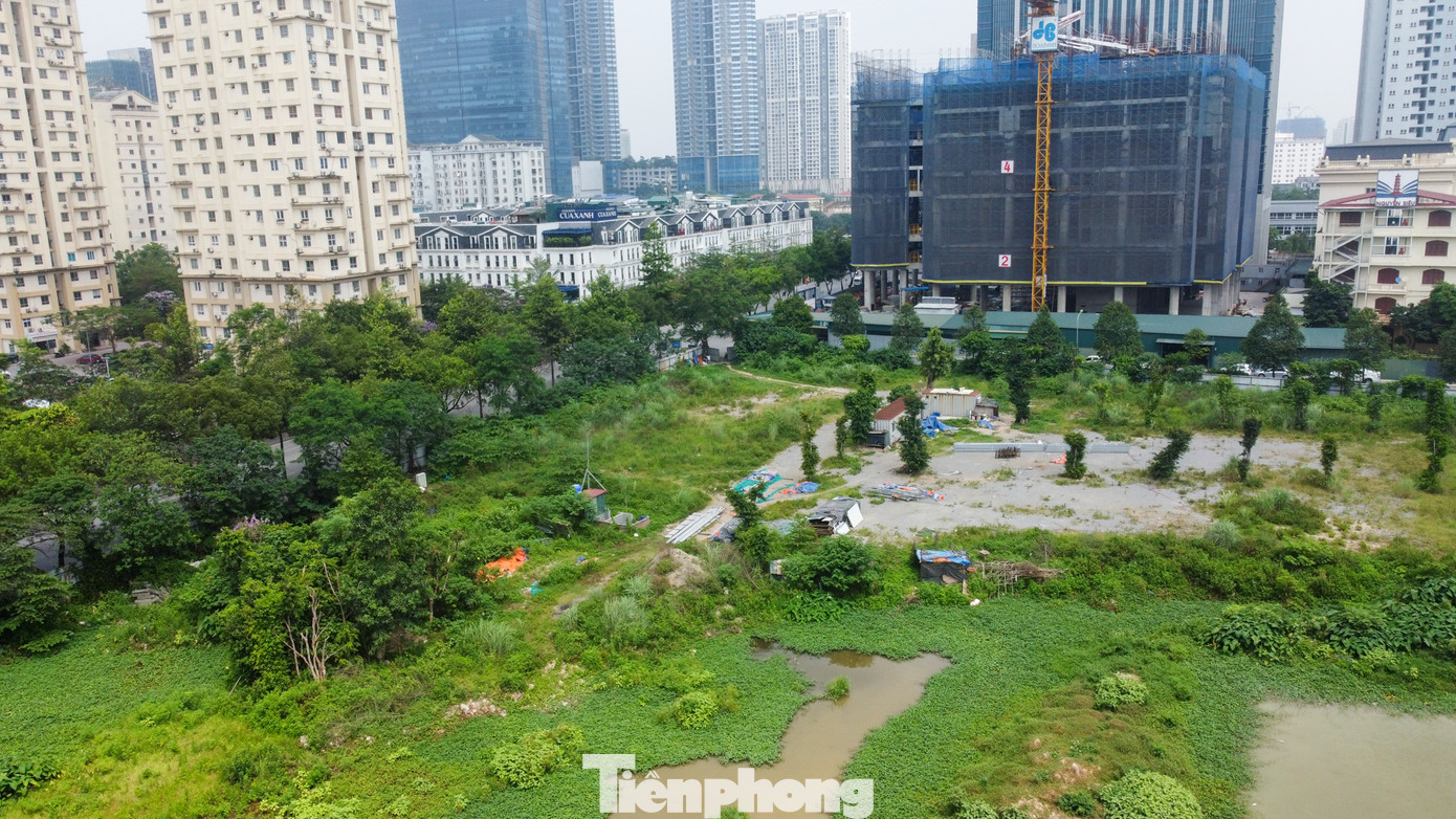 Trên website của Công ty Cổ phần tập đoàn Đại Dương (Ocean Group) giới thiệu đây là dự án mà tập đoàn này hợp tác đầu tư với Công ty TNHH VNT (chủ đầu tư).