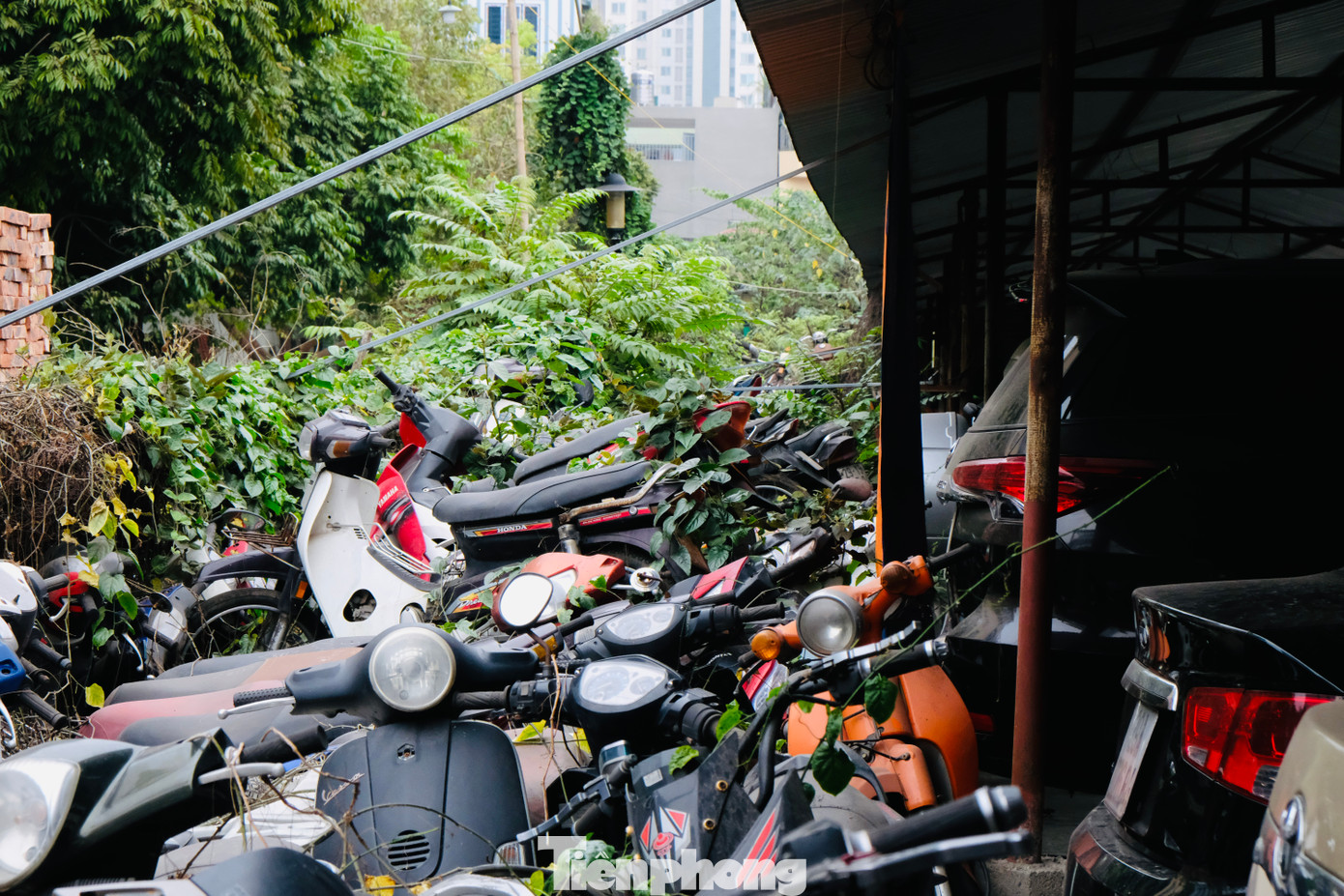 Ghi nhận của PV Báo Tiền Phong, tại bãi xe của Công ty Hà Cầu - Thăng Long thuộc Hiệp hội Doanh nghiệp của thương binh và người khuyết tật Việt Nam (tại phường Hà Cầu, quận Hà Đông, Hà Nội) hiện có hàng nghìn xe máy đủ chủng loại được tập kết, chất đống.