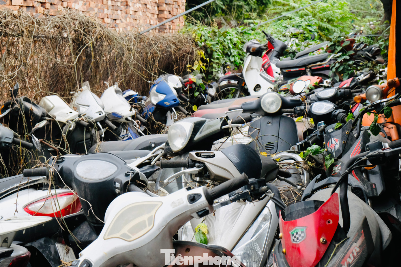 Được biết đây là địa điểm trông giữ xe vi phạm giao thông, xe tang vật... của một số Đội CSGT và Tổ công tác đặc biệt 141 Công an Hà Nội.