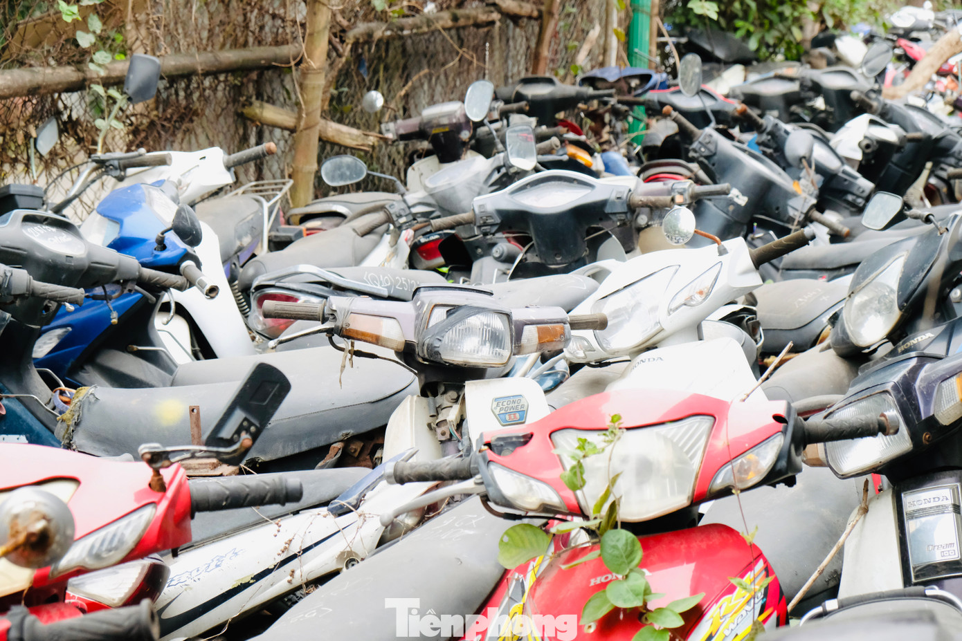 Nhiều xe thậm chí đã "tạm trú" ở đây gần chục năm mà chủ sở hữu chưa đến nhận.