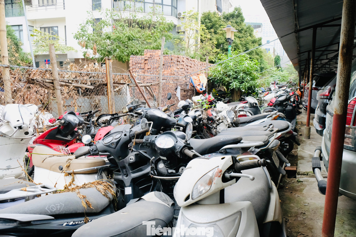 Các xe nằm phơi nắng, phơi mưa đã xuống cấp rất nhiều qua năm tháng.