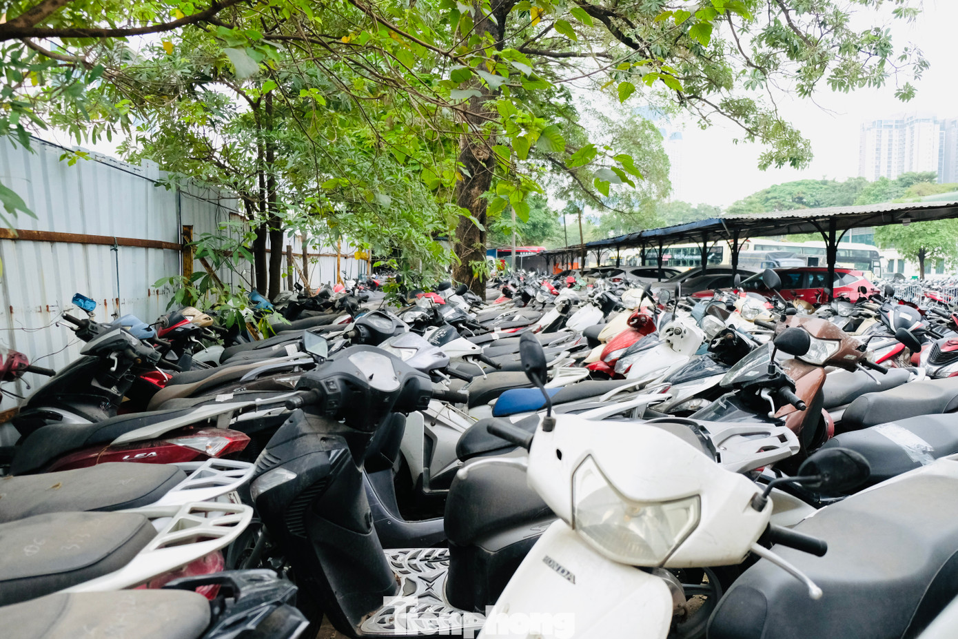 Ghi nhận tại bãi để xe vi phạm ở Mỹ Đình thuộc Đội CSGT số 6 quản lý cũng trong tình trạng chật kín xe máy vi phạm.