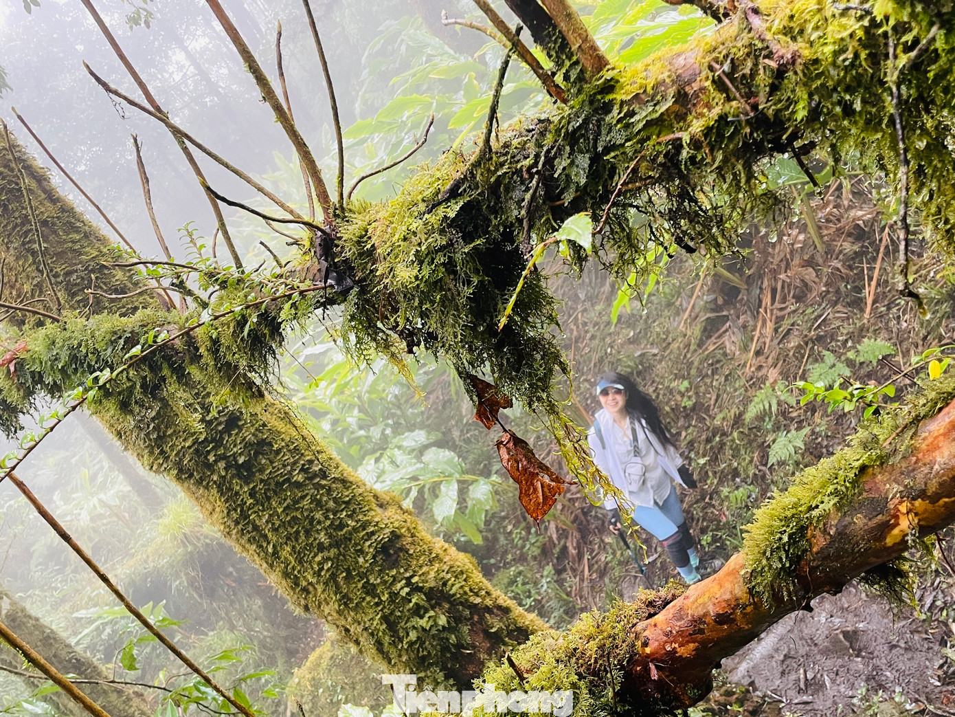 Đỉnh núi cao 2.965 m so với mực nước biển, trong top 10 đỉnh núi cao nhất Việt Nam.