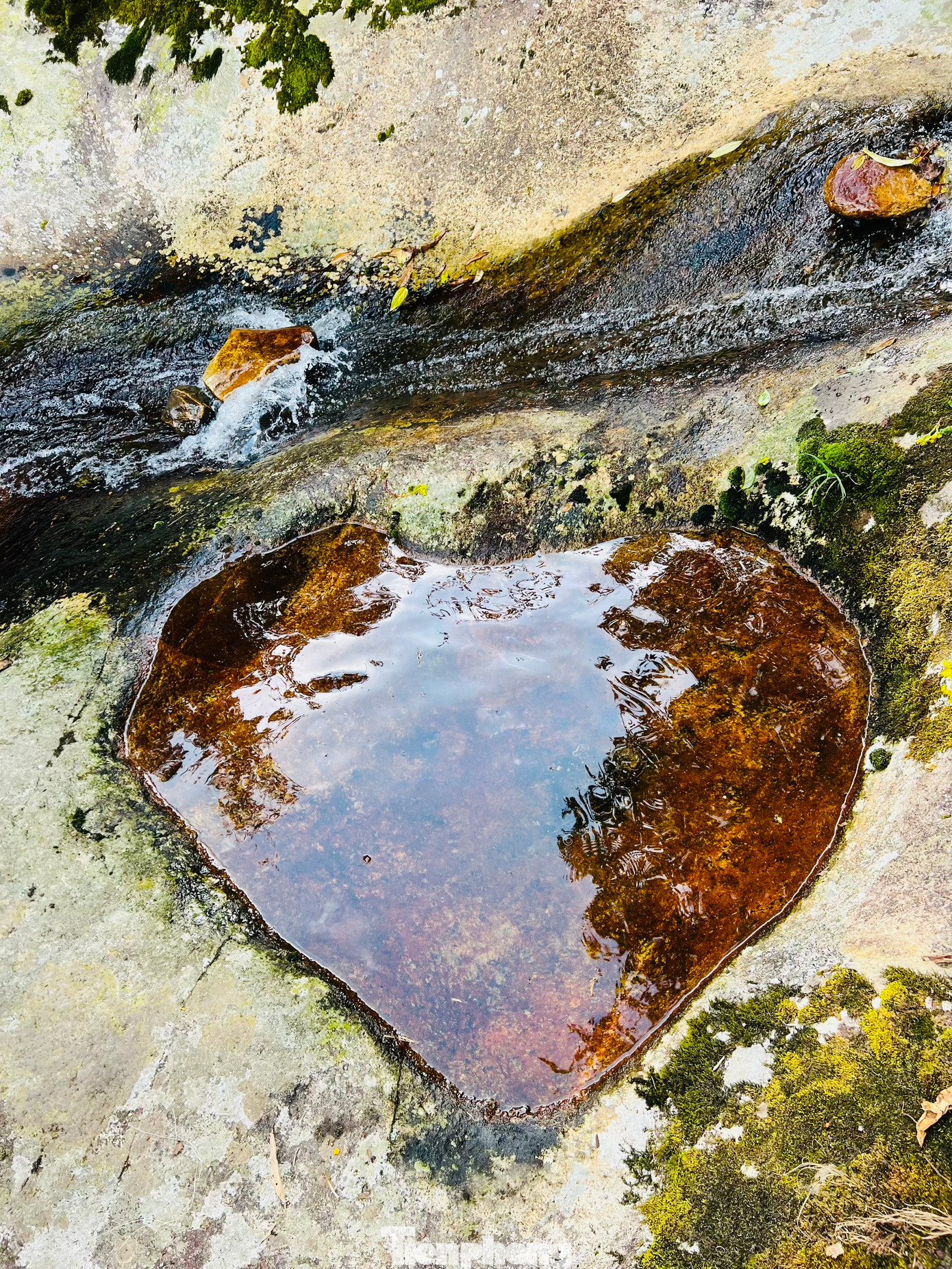 Địa hình ở đây có sự thay đổi rõ rệt từ chân núi lên tới đỉnh, rất đa dạng và phong phú. Phía dưới là đồng cỏ, vách đá, cây bụi…