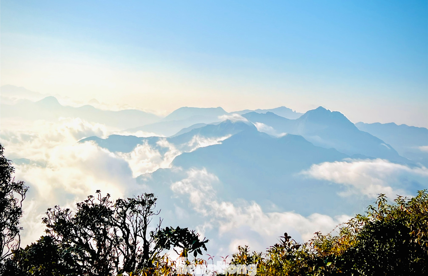 Nhìu Cồ San sở hữu thảm thực vật đa dạng, xanh mướt quanh năm với biển mây trôi bồng bềnh tựa chốn "bồng lai tiên cảnh".