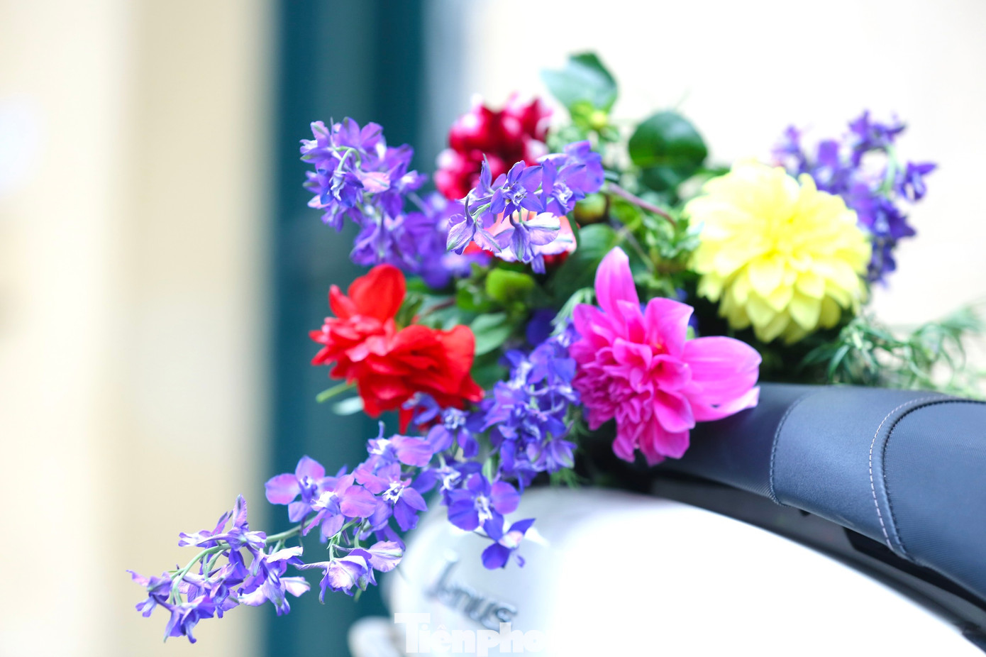 Những loài hoa truyền thống thống như thược dược, lay ơn, vilolet... không thể thiếu trong ngày Tết truyền thống của người dân Thủ đô.