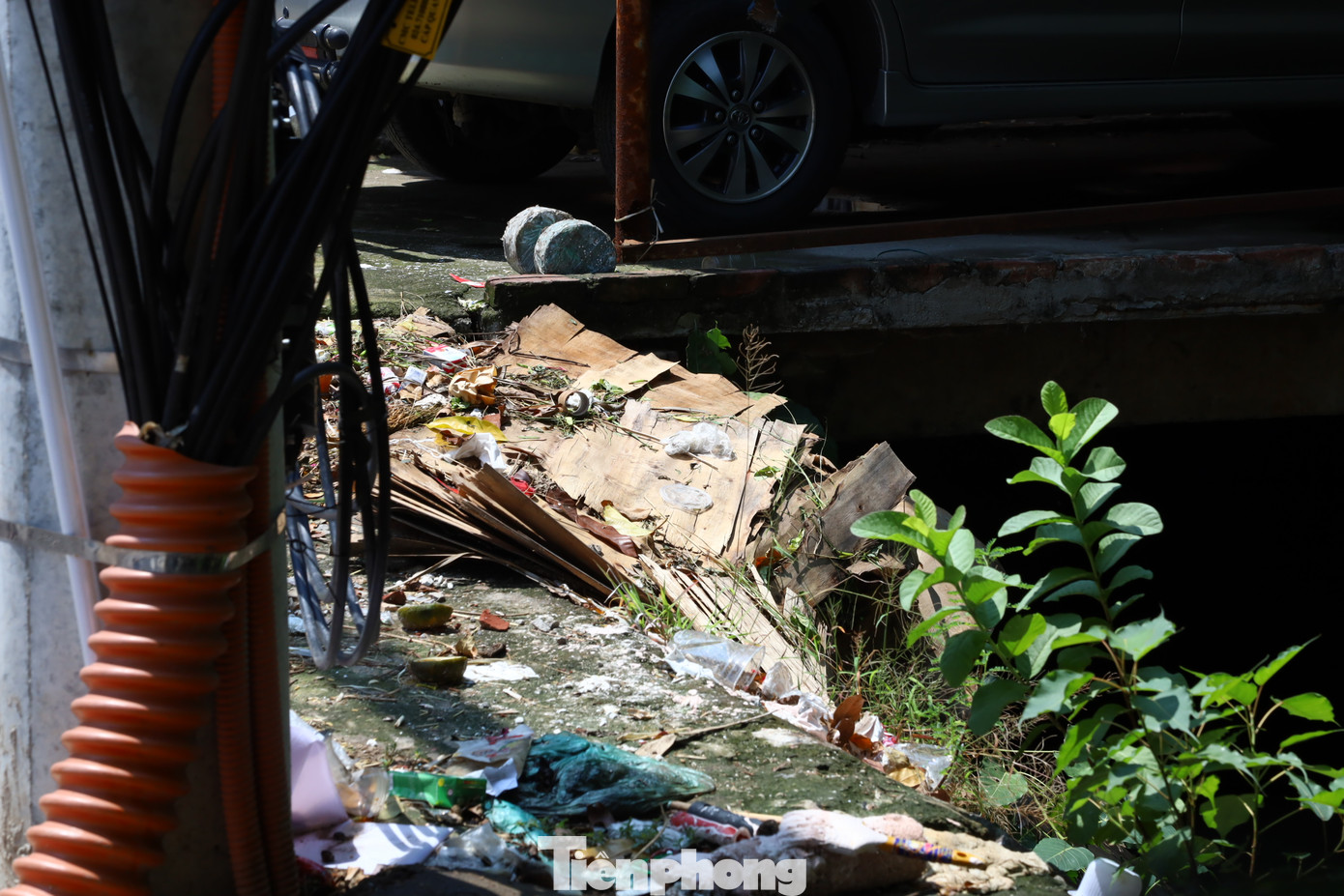 Ghi nhận của PV báo Tiền Phong, tại khu vực ven sông Cầu Đá, mùi hôi thối bốc lên nồng nặc nhất là vào những ngày nắng nóng, rác vứt tràn lan xung quanh và cả lòng sông.