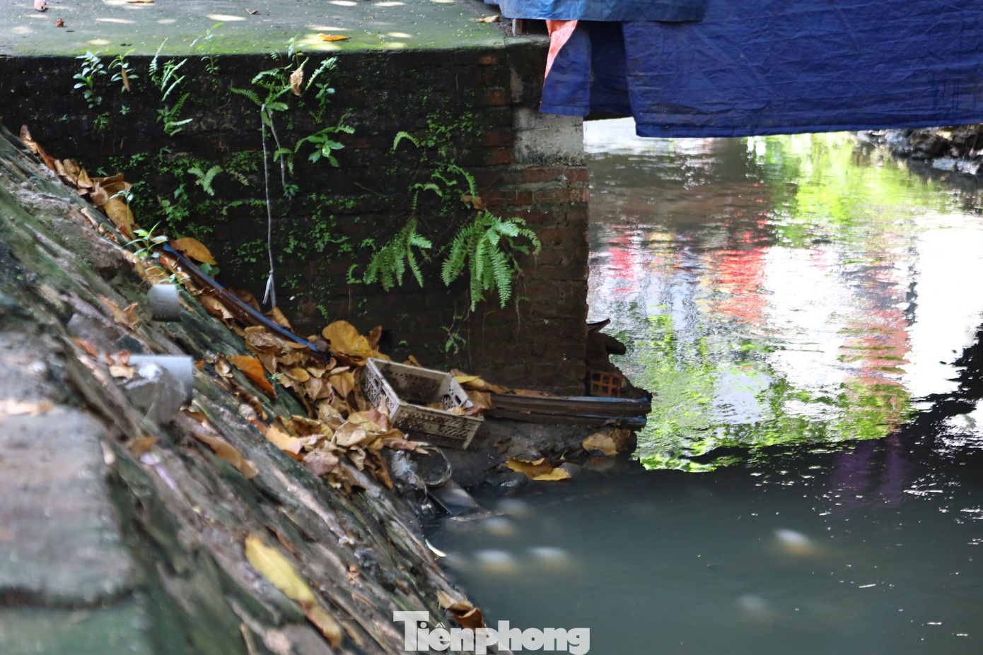 Ghi nhận của PV báo Tiền Phong, tại khu vực ven sông Cầu Đá, mùi hôi thối bốc lên nồng nặc nhất là vào những ngày nắng nóng, rác vứt tràn lan xung quanh và cả lòng sông.