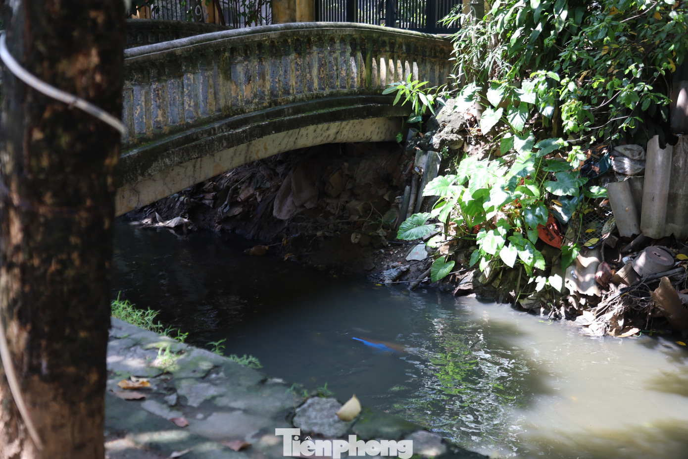 Ghi nhận của PV báo Tiền Phong, tại khu vực ven sông Cầu Đá, mùi hôi thối bốc lên nồng nặc nhất là vào những ngày nắng nóng, rác vứt tràn lan xung quanh và cả lòng sông.