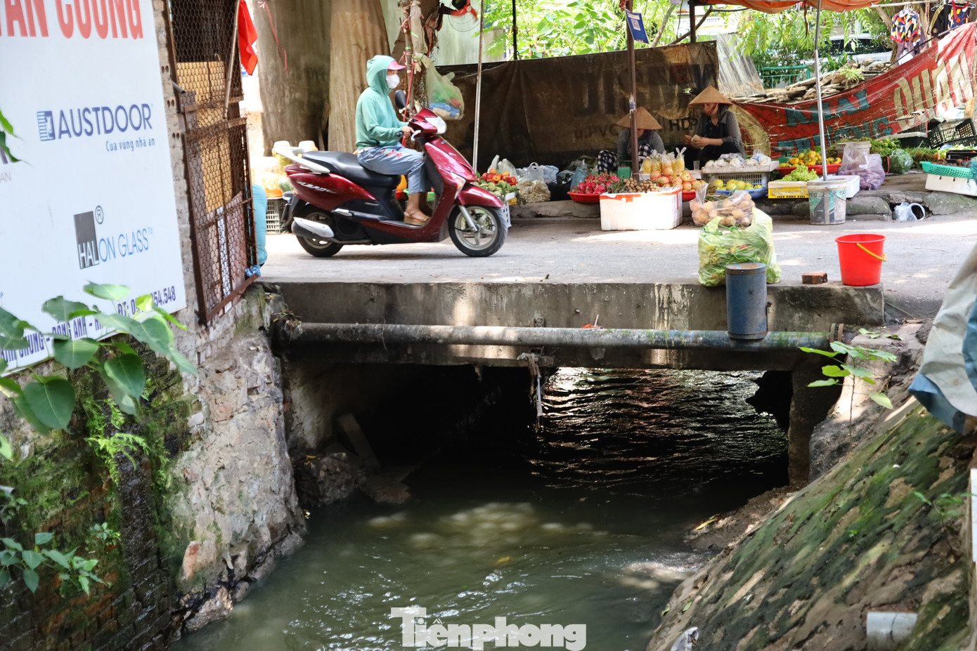 Vì nằm ở đoạn cuối nhánh sông nên đoạn chảy qua địa bàn Xuân Đỉnh và Cổ Nhuế 1 luôn thường trực ô nhiễm. Khu vực này phải hứng chịu toàn bộ nước thải dồn ứ lại, trở thành nơi chứa nước thải sinh hoạt của người dân và các nhà máy, do đó nước sông đã chuyển màu đen kịt, bốc mùi hôi thối.