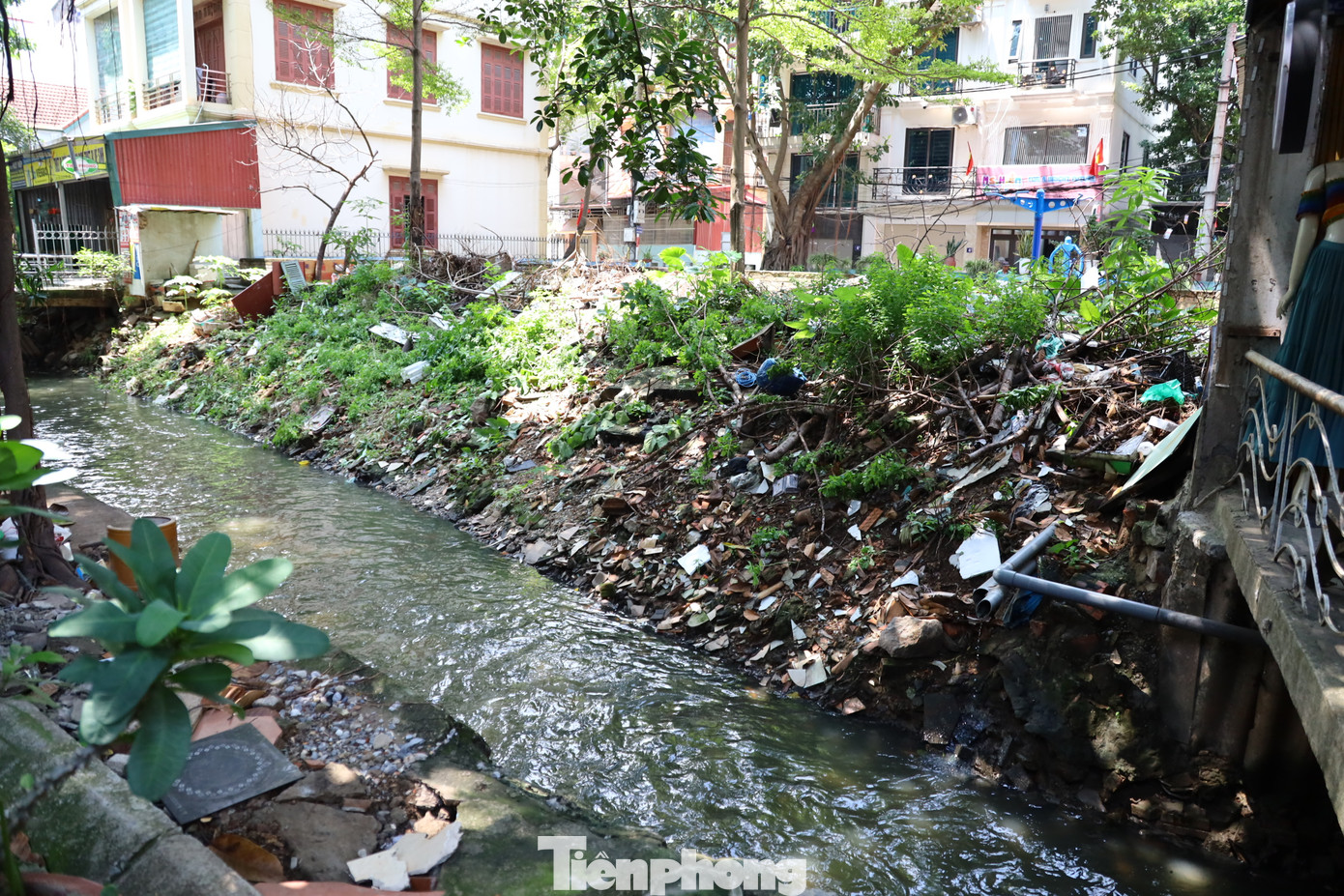Ghi nhận của PV báo Tiền Phong, tại khu vực ven sông Cầu Đá, mùi hôi thối bốc lên nồng nặc nhất là vào những ngày nắng nóng, rác vứt tràn lan xung quanh và cả lòng sông.